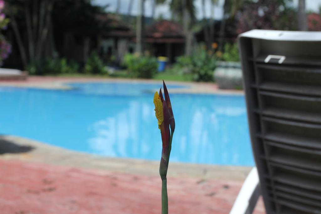 Kuta Indah Hotel Eksteriør billede